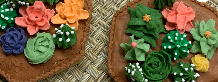 blog-sweet-bite-biscoitos-decorados-de-suculentas